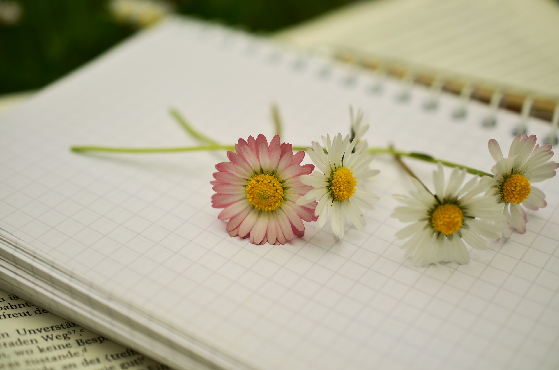 Caderno com flores em cima