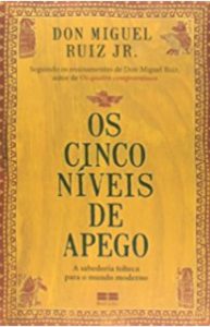 Livro Os cinco níveis de apego