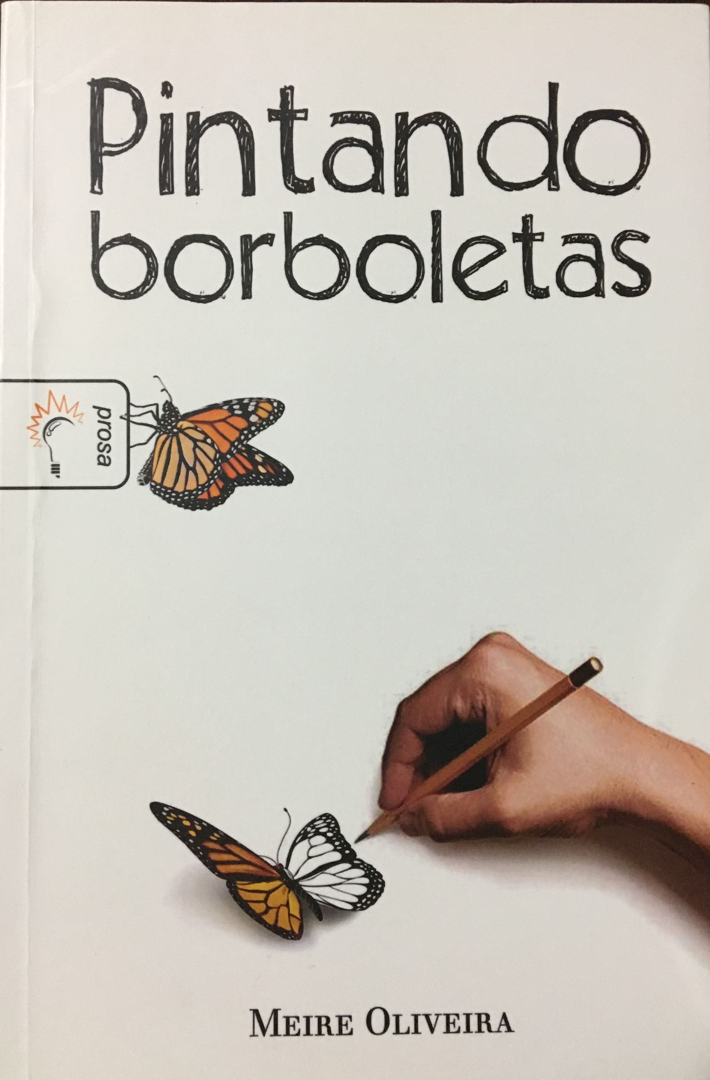 Capa livro Pintando borboletas